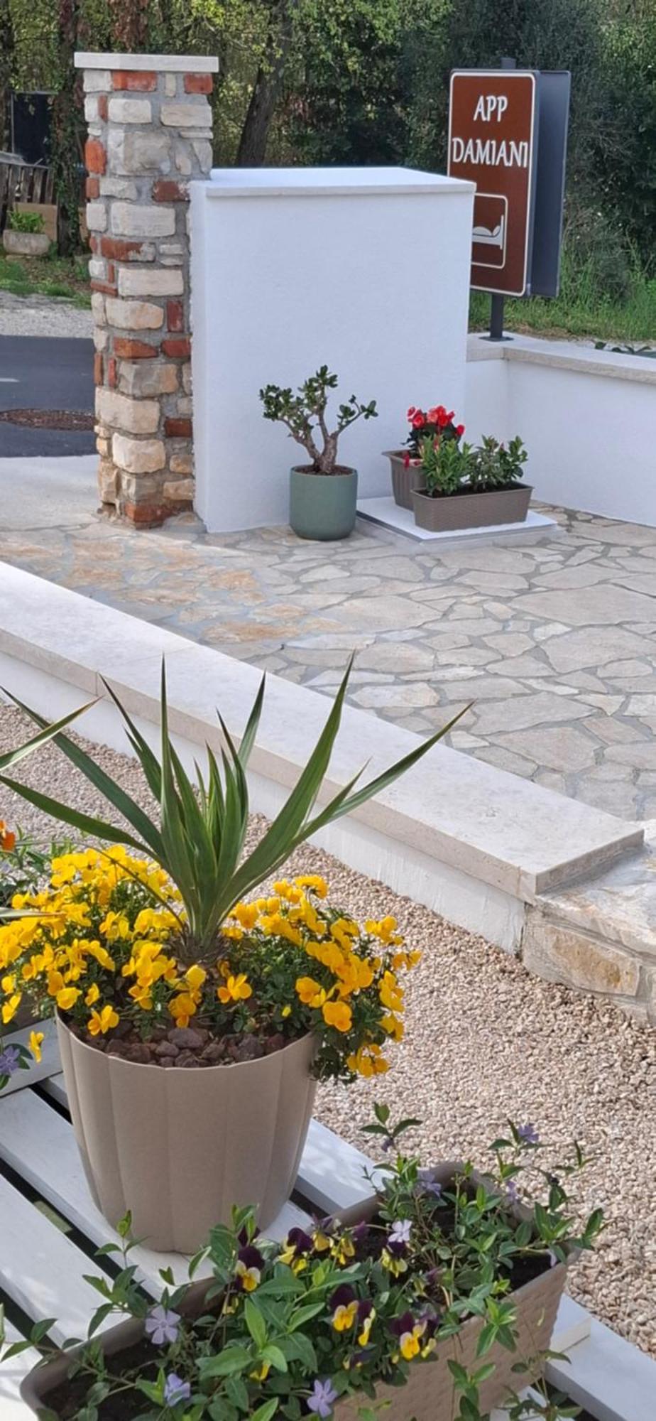 Apartment Damiani أوماغ المظهر الخارجي الصورة